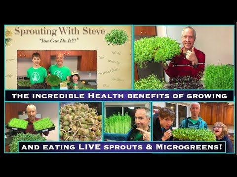 , title : '"Sprouting To Boost Your Immune System!" with Steve Wohlberg'