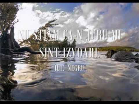 Nu stiam ca-n juru-mi sunt izvoare - Ilie A Negru