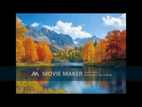 Edin Šarić - Harmoniko moja