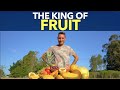 The King Of Fruit