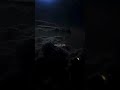 Zameen Se Aasman Tak Hum Dhund Aaye Jahan Sara Youtubeshorts Shorts Palakmuchhal Viral