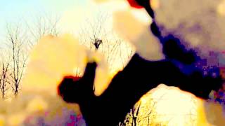 Modern Talking, Love Is Like A Rainbow