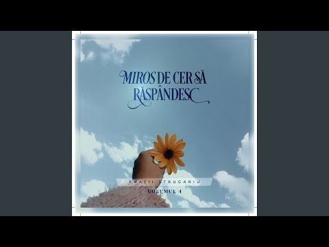 Sunt străin în lume