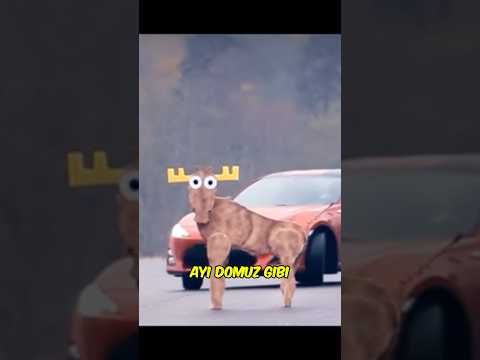 Geyiklere Özel Yapılan Araç Testi : Moose Test 🦌