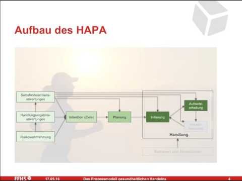 HAPA Kurzversion 1595x1196 v02