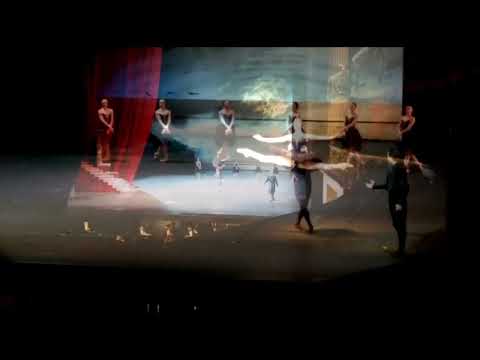 Black Swan Pas de deux, Prisca Zeisel & Jinhao Zhang