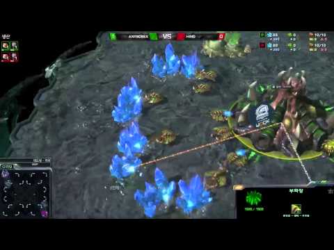 Anysosex vs hinO ZvZ Whynot tournament #50 BO3