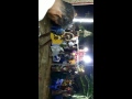 Kalikovil Thiruvizha Karakattam At Thethakudi 2014 Part2
