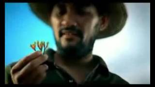 Download lagu Dji Sam Soe - Tembakau dan Kuda mp3 Download lagu Dji Sam Soe - Tembakau dan Kuda mp3