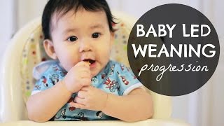 BABY LED WEANING (BLW) Progression: 6-10 Months!