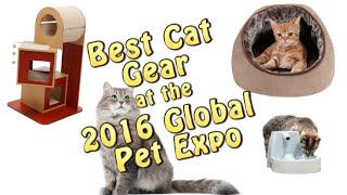 Best Cat Gear for year 2016