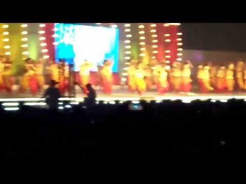 Bloomingdale 2017 annual function