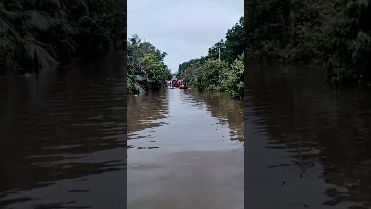 salor distrik kurik kab Merauke Papua Selatan #janganlupasubscribe #subscribe #subscribetomychannel