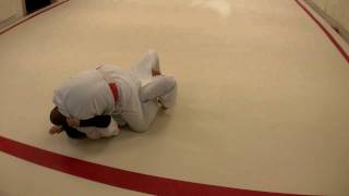 Tate Shiho Gatame