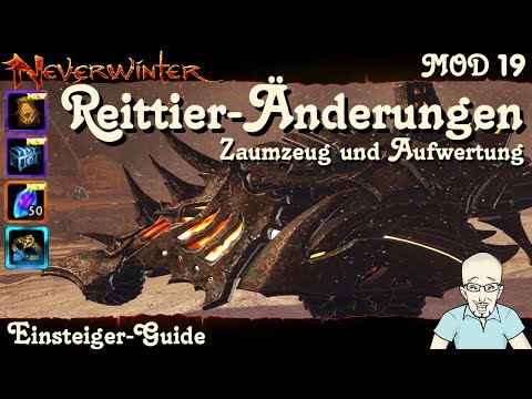 NEVERWINTER: Reittier Änderungen - Zaumzeug und Aufwertung - Einsteiger-Guide MOD19 Tutorial deutsch
