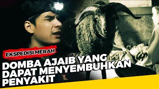 Download lagu Domba Ajaib yang Dapat Menyembuhkan Penyakit - Ekspedisi Merah mp3