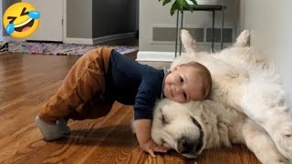 Funny Animals 2025 😂 Cute Cats, Silly Dogs & Hilarious Pet Videos Compilation