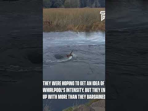 whirlpool. amazing must watch 😳😳😳 #whirlpool