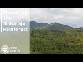 Protecting the Sinharaja Rainforest | One Earth