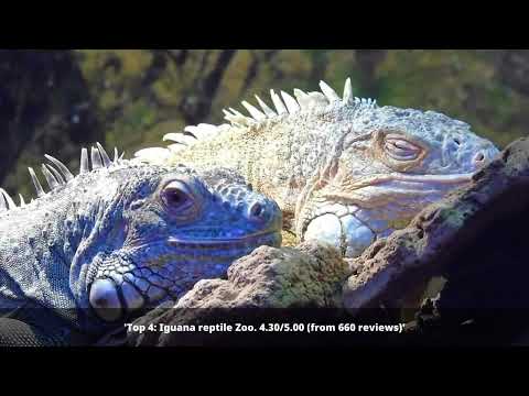 Tourist Attractions in Vlissingen - Netherlands | 2022