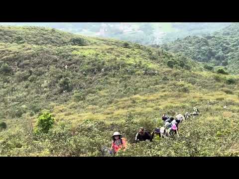 29 de outubro de 2023