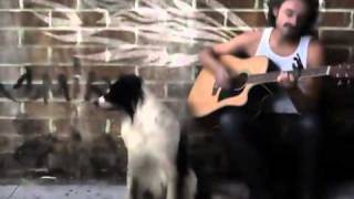 No Blues- Black Cadillac - Metin Köksal