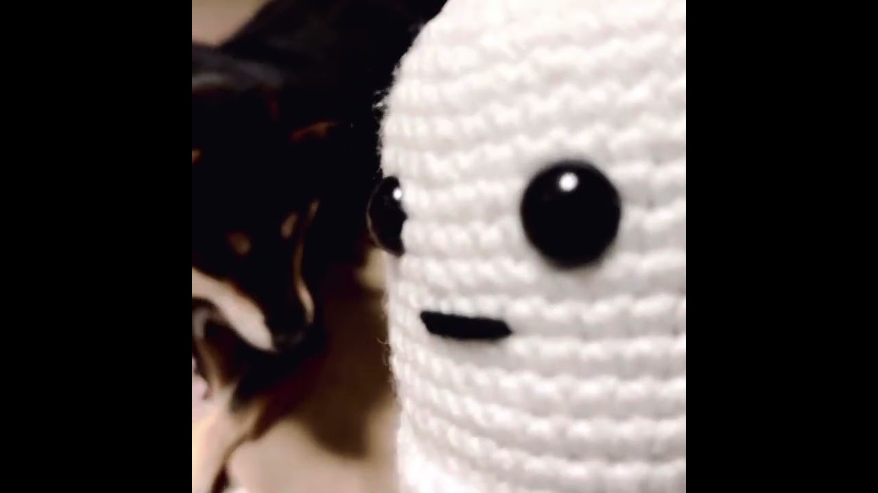 #shorts  いぬとあくりょ2