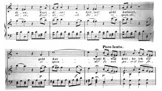 Che farò senza Euridice?(Gluck/Orfeo de Euridice) 아리아반주 Piano Accompaniment