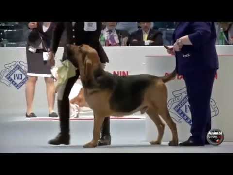 WDS Thursday 20 - Best Group 6