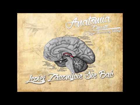 15. Emeste x O.C.T.W - Lepiej Zacznijcie Się Bać prod. Mundas O.C.T.W (Anatomia LP)