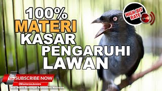 Download lagu 🔴 Masteran Burung JUARA❗️Srigunting Abu Abu Gacor Full Materi Tembakan Kasar Pengaruhi Mental Lawan mp3