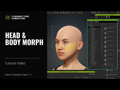 iClone Character Creator Tutorial - Body Morphing Basics