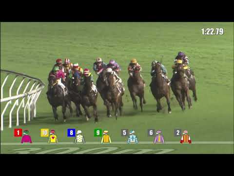 8/6/2022 (732) Cordyceps One - R Maia