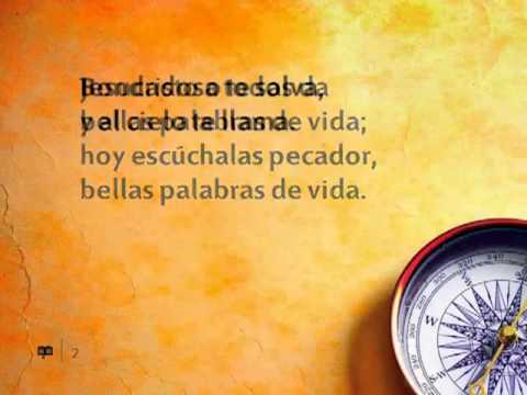 204   Oh, cantadmelas otra vez wmv pista)(480p H 264 AAC)