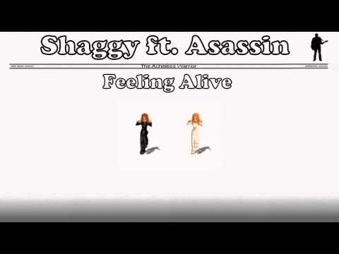 Shaggy ft. Asassin - Feeling Alive