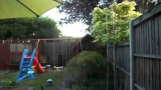 Jimmy Cliff - I&#39;m Free