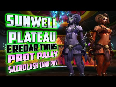 Eredar Twins First Kill Sacrolash MT Prot Paladin POV - TBC Classic