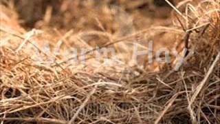 The Night Before Christmas by Brandon Heath