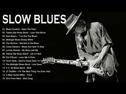 Best Blues Songs 2024 of All Time - Relaxing With Slow Blues Songs Ever - Blues Music Playlist