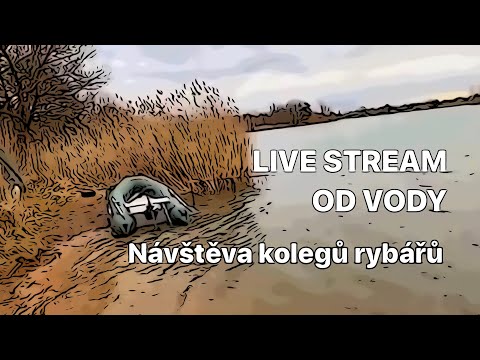 LIVE STREAM od vody #1 Nečekaná návštěva, aneb PUNK MEDIA FISHING