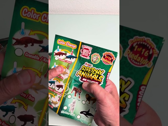 Vídeo relacionado con CRAZE Pack de 12 Stretchy Animals Big Predators - Figuras de Animales con Piel elástica, Relleno Especial, Efectos Especiales y Cartas para Jugar Hay 16 Modelos para Coleccionar