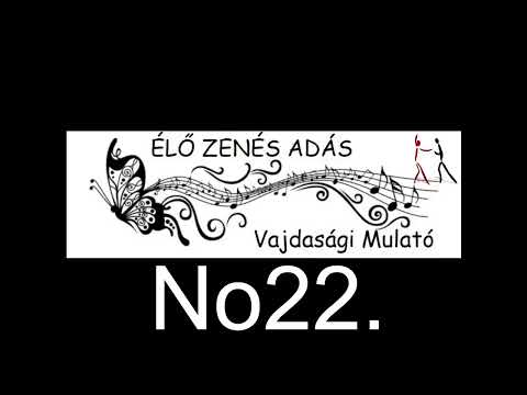 Vajdasági Mulató - No22.