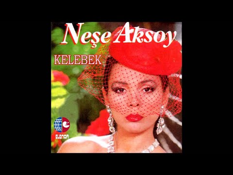 Neşe Aksoy - Yaşamak Hakkım