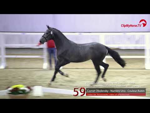 59 Junghengst v. Cornet Obolensky - Numero Uno