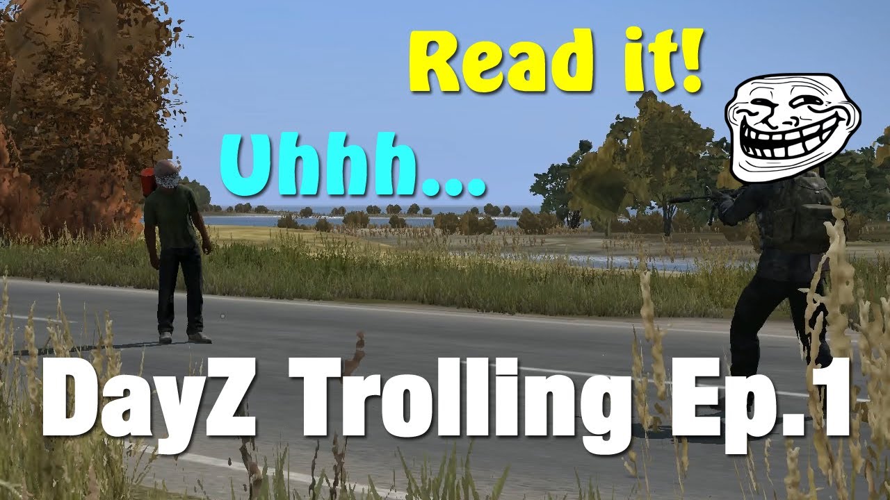 People Are Doing Some Weird Things In DayZ