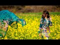 Tumse Milkar Ye Jana Hai Status WhatsApp Status Video Teri Chunariya Dil Le Gayi