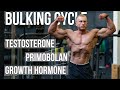 Bulking Steroid Cycle | Off Season Stack Design