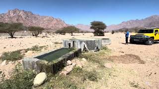 The Spirit of Radhwa: My Encounter on Yanbu's Mountain