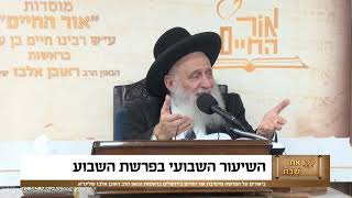 ביאורים על פרשת השבוע - פרשת לך לך תשפ"ו (מוסדות אור החיים) - התמונה מוצגת ישירות מתוך אתר האינטרנט יוטיוב. זכויות היוצרים בתמונה שייכות ליוצרה. קישור קרדיט למקור התוכן נמצא בתוך דף הסרטון ביאורים על פרשת השבוע - פרשת לך לך תשפ"ו (מוסדות אור החיים) - התמונה מוצגת ישירות מתוך אתר האינטרנט יוטיוב. זכויות היוצרים בתמונה שייכות ליוצרה. קישור קרדיט למקור התוכן נמצא בתוך דף הסרטון