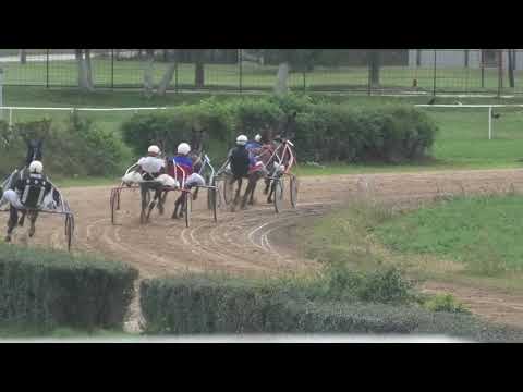 Trka "Oslobođenje Grada Požarevca" 15.10.2020 Sirol Axe - Milan Tasić